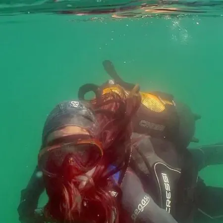 Pensión Kastely Fogado Gyékényes